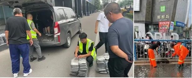 1737012135317391.jpg 640 (1).jpg