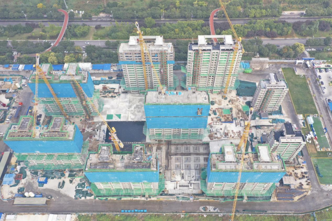 1737016357274382.png 640.png