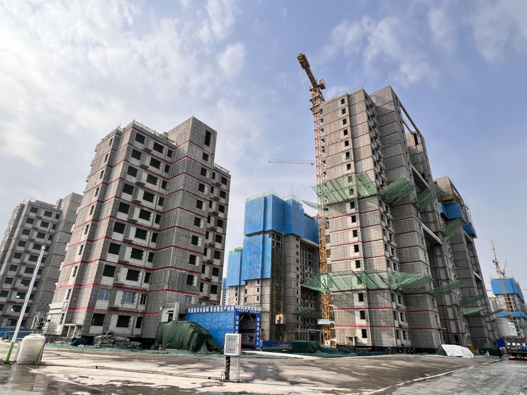 1737016374747199.png 640 (1).png