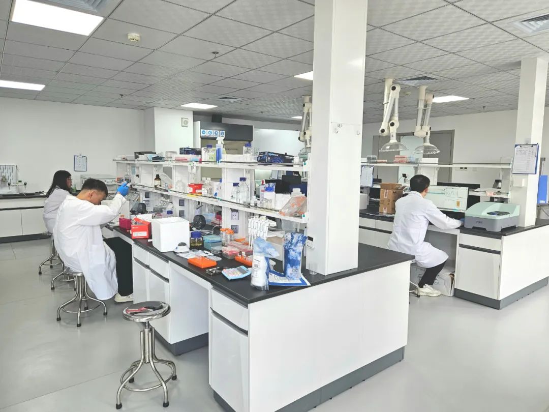 1737075756535461.jpg 640 (2).jpg